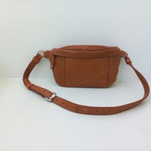 Riñonera Cordillera